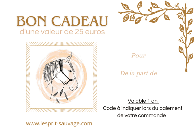 Bon Cadeau 25 euros 