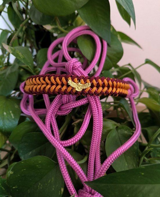 Licol Spirit taille Cob