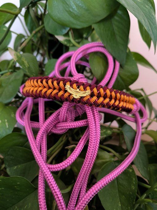 Licol Spirit taille Cob