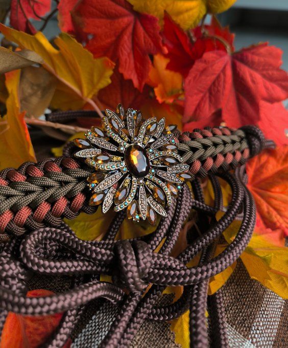 Licol shooting d'automne 