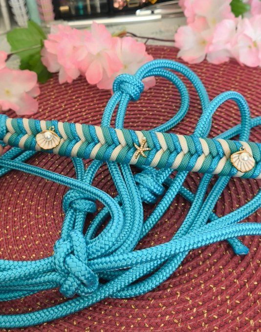 Licol charms édition Summer