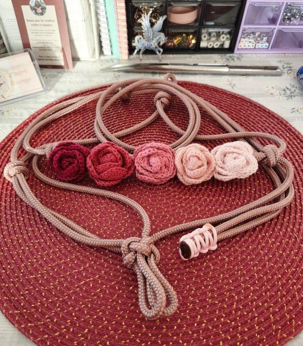 Licol Rosalia taille cheval