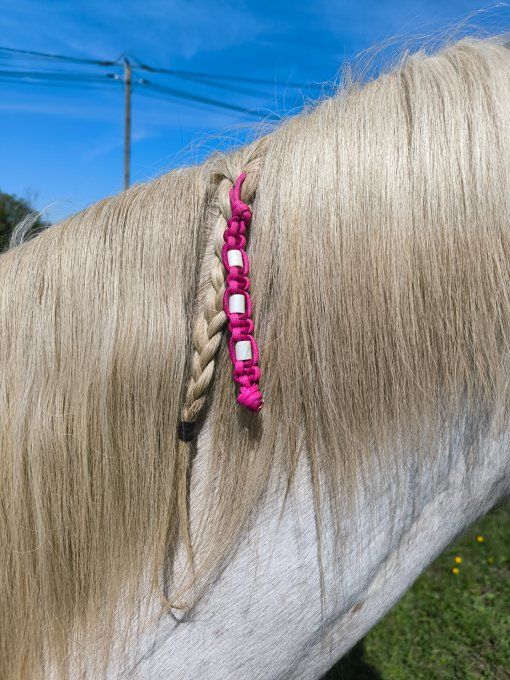 Charm anti tiques 