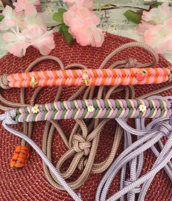 Licol charms édition Printemps 